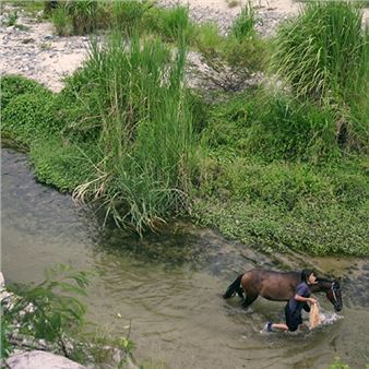 Laura Sofía Pérez - The Colorado Springs Fine Arts Center