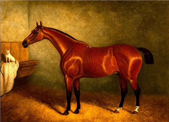 A majestic horse stands in a dimly lit stable with a small white cat perched nearby.