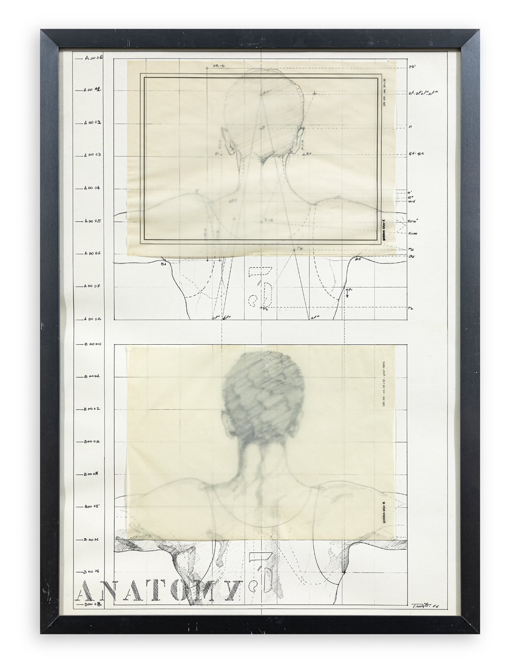 Sebastian Trovato | Anatomy (1976) | MutualArt