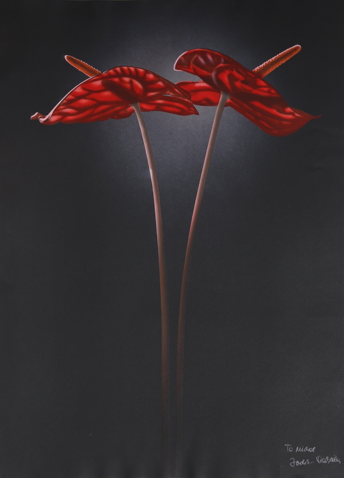 Jochen Labriola | Red Lilies (Circa 1975) | MutualArt