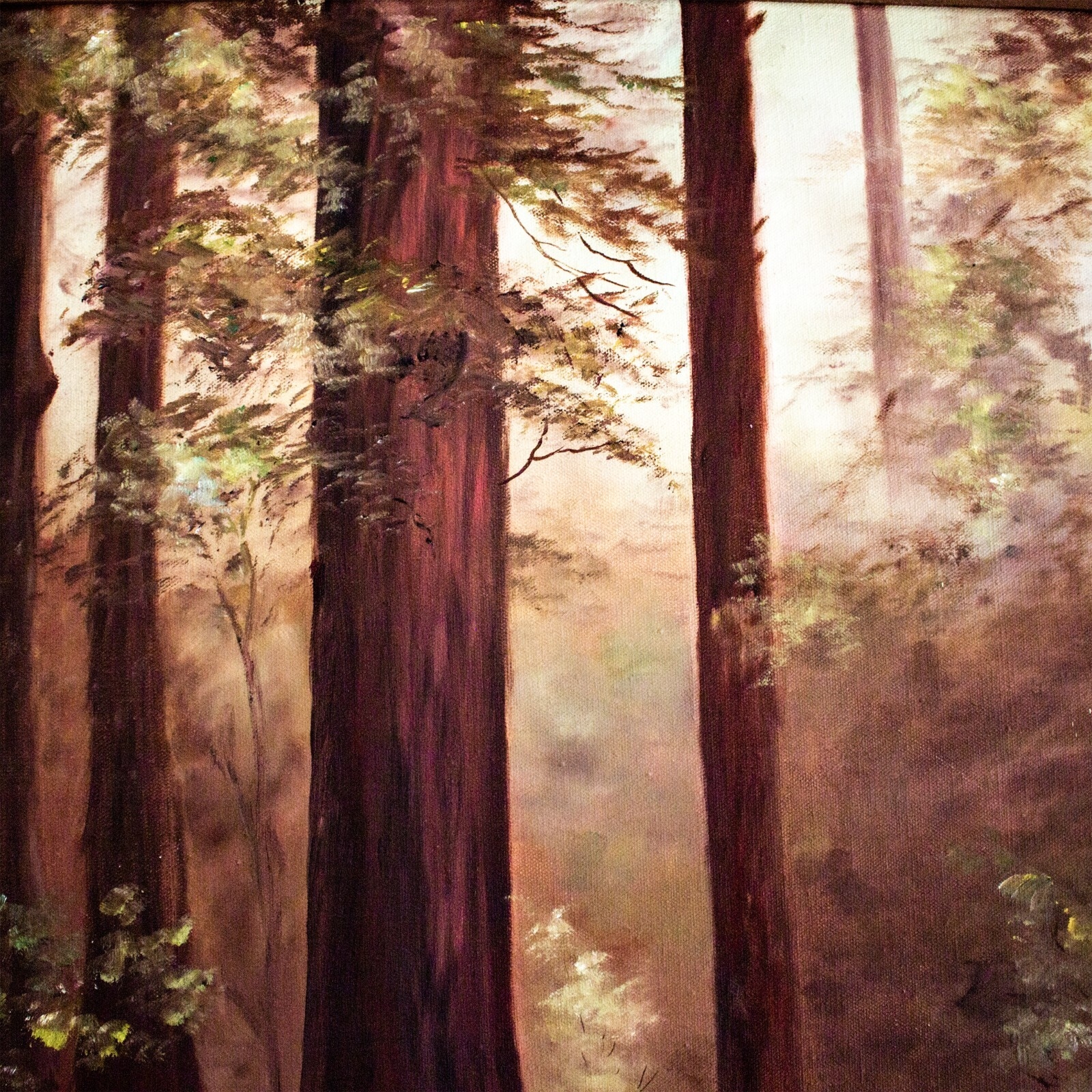 June Marie | Sunset Wilderness (1950) | MutualArt