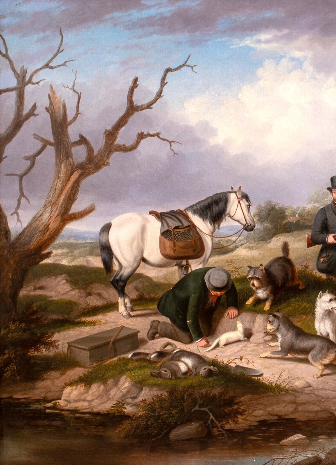 George Armfield | 19th Century Hunters Terriers & Ferrets Rabbiting ...