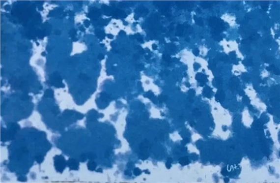 David Hockney | Plate Signed Paper Pools Swimming Pool Diving Board ...