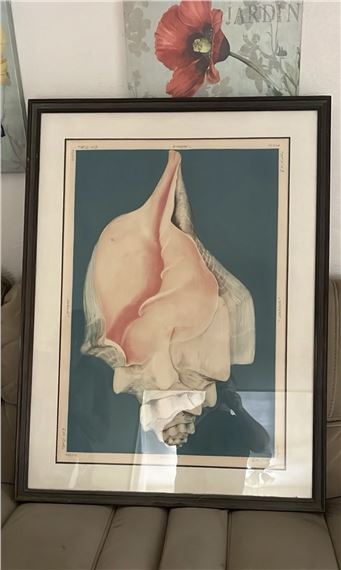 Gatja Helgart Rothe | (Mollusk) (1970 - 1989) | MutualArt