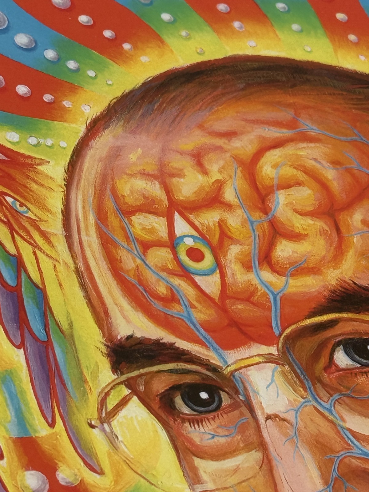 Alex Grey | St Albert & the LSD Revelation Revolution | MutualArt