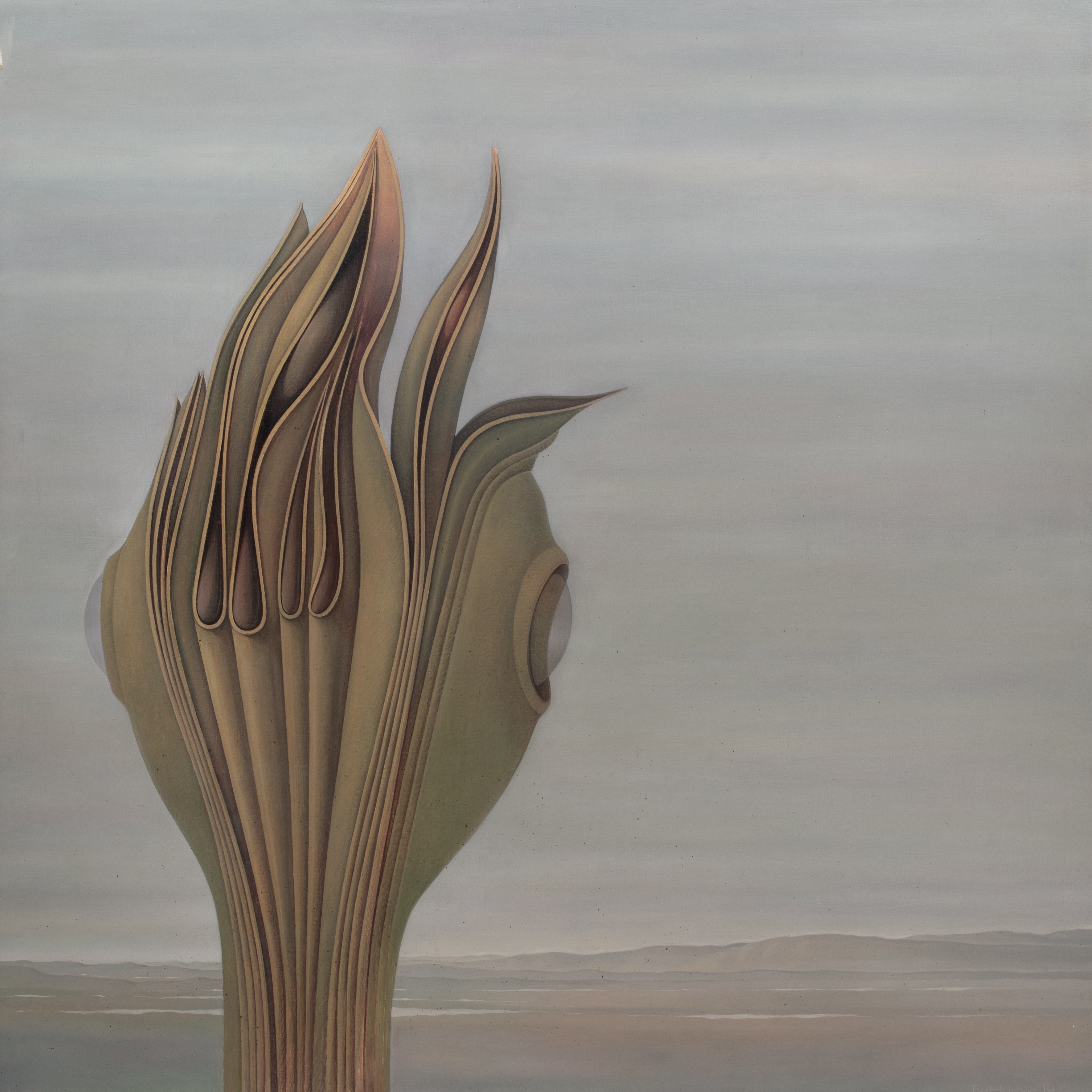 Bert Kitchen | Plant (1972) | MutualArt