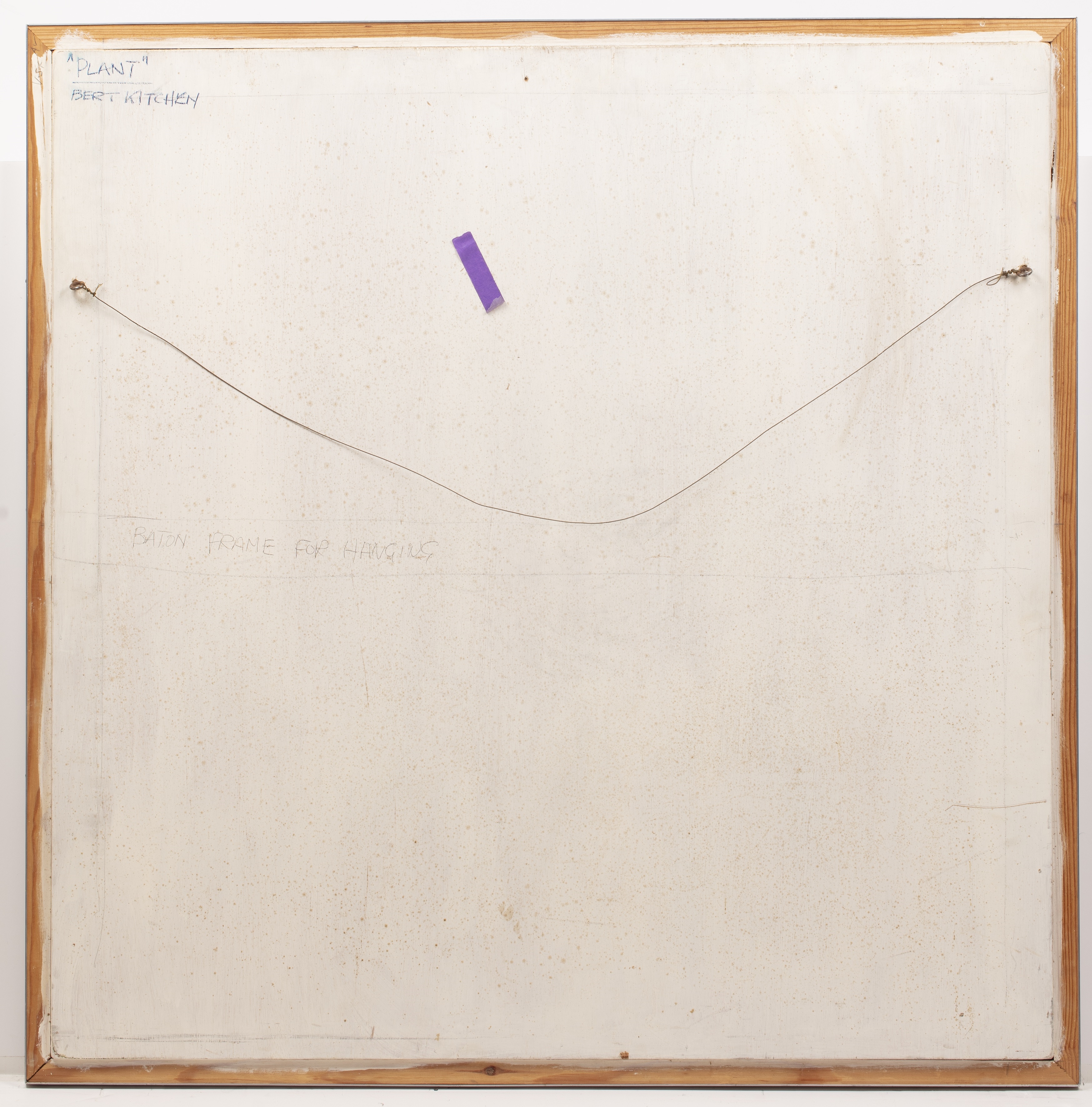 Bert Kitchen | Plant (1972) | MutualArt