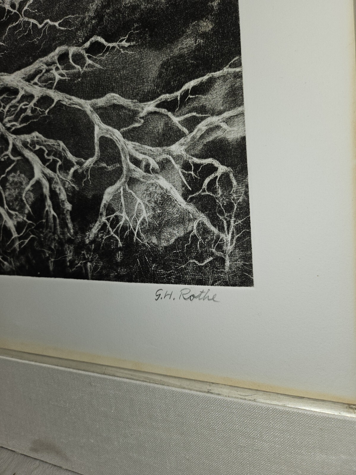 Gatja Helgart Rothe | OAK TREE - Rare Black & White Mezzotint Etching ...