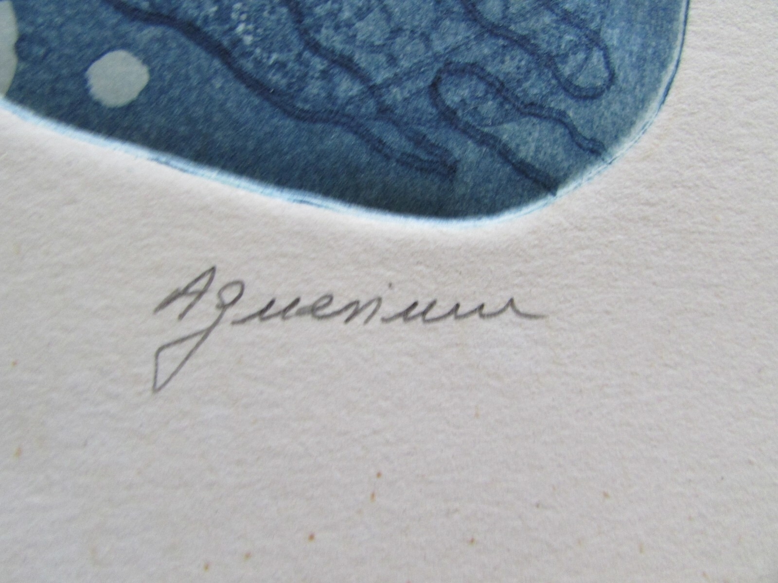 Amram Ebgi | 1980's Intaglio Fish Landscape Intaglio Print Aquarium ...