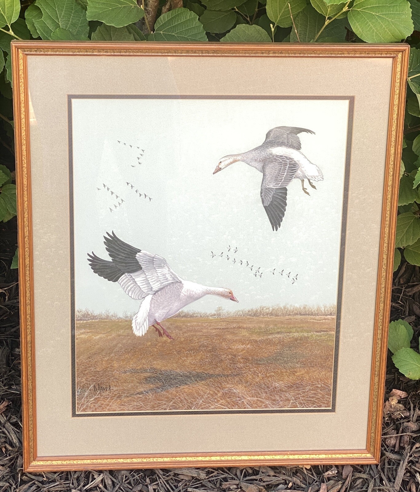 Duane Raver, Jr. | Snow Geese (1970s) | MutualArt
