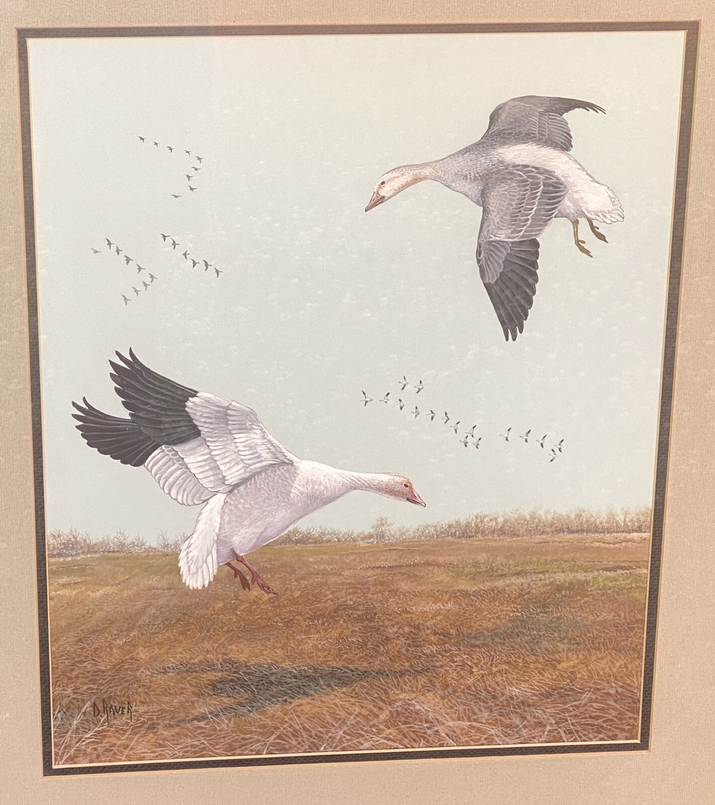 Duane Raver, Jr. | Snow Geese (1970s) | MutualArt