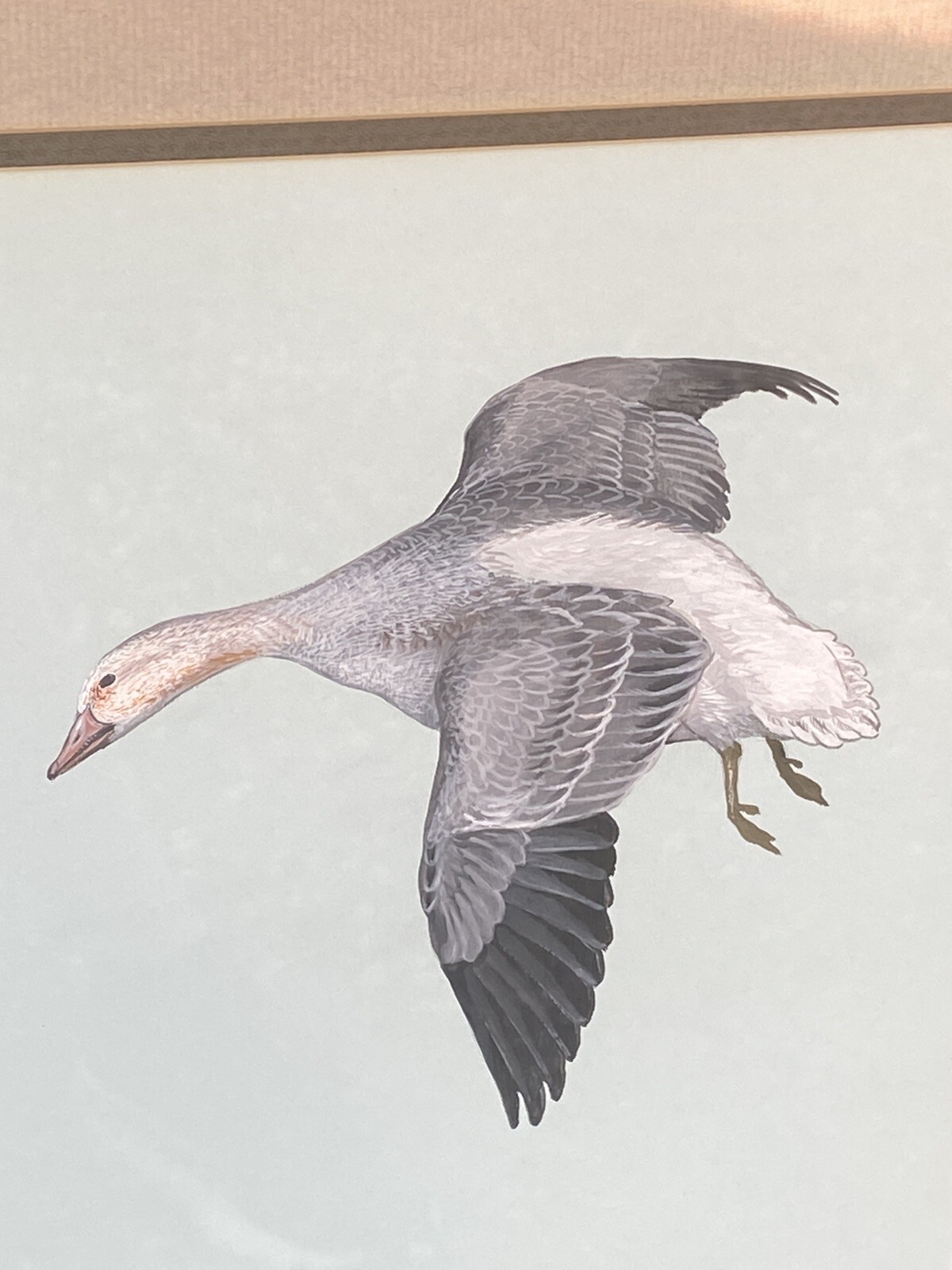 Duane Raver, Jr. | Snow Geese (1970s) | MutualArt