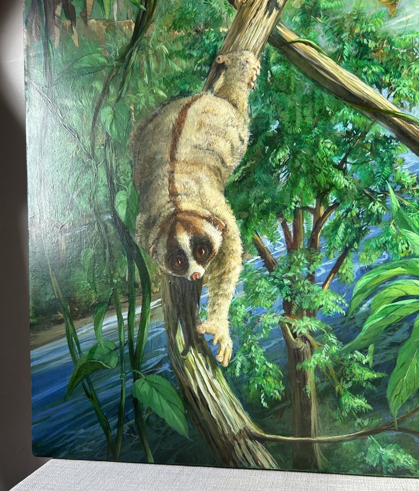 Michael Rothman | Slow Loris Tropical Forest Wildlife (1987) | MutualArt
