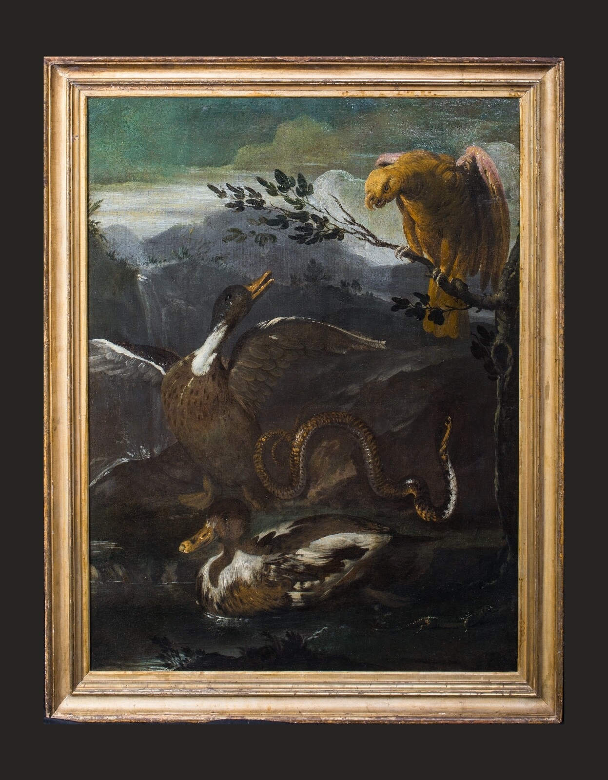 Otto Marseus van Schrieck | Large 17th Century Dutch Parrot Snake ...