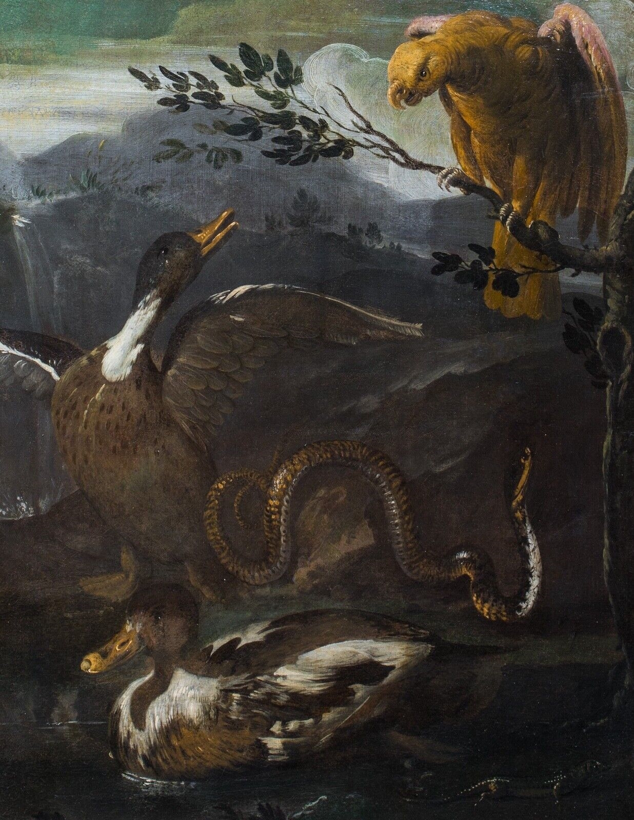 Otto Marseus van Schrieck | Large 17th Century Dutch Parrot Snake ...