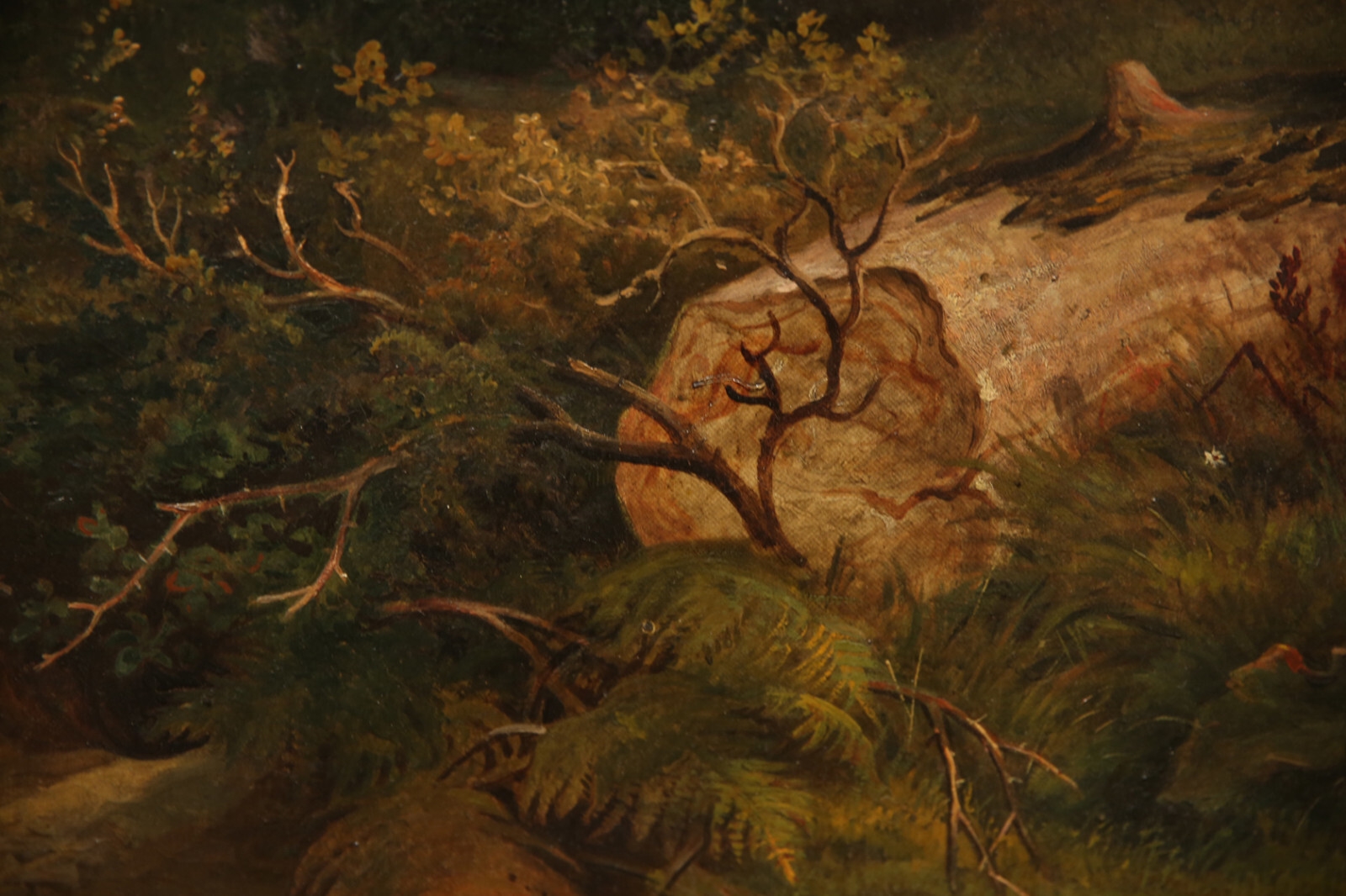 Thomas George Cooper | 19th Century British Gypsies Camping in ...