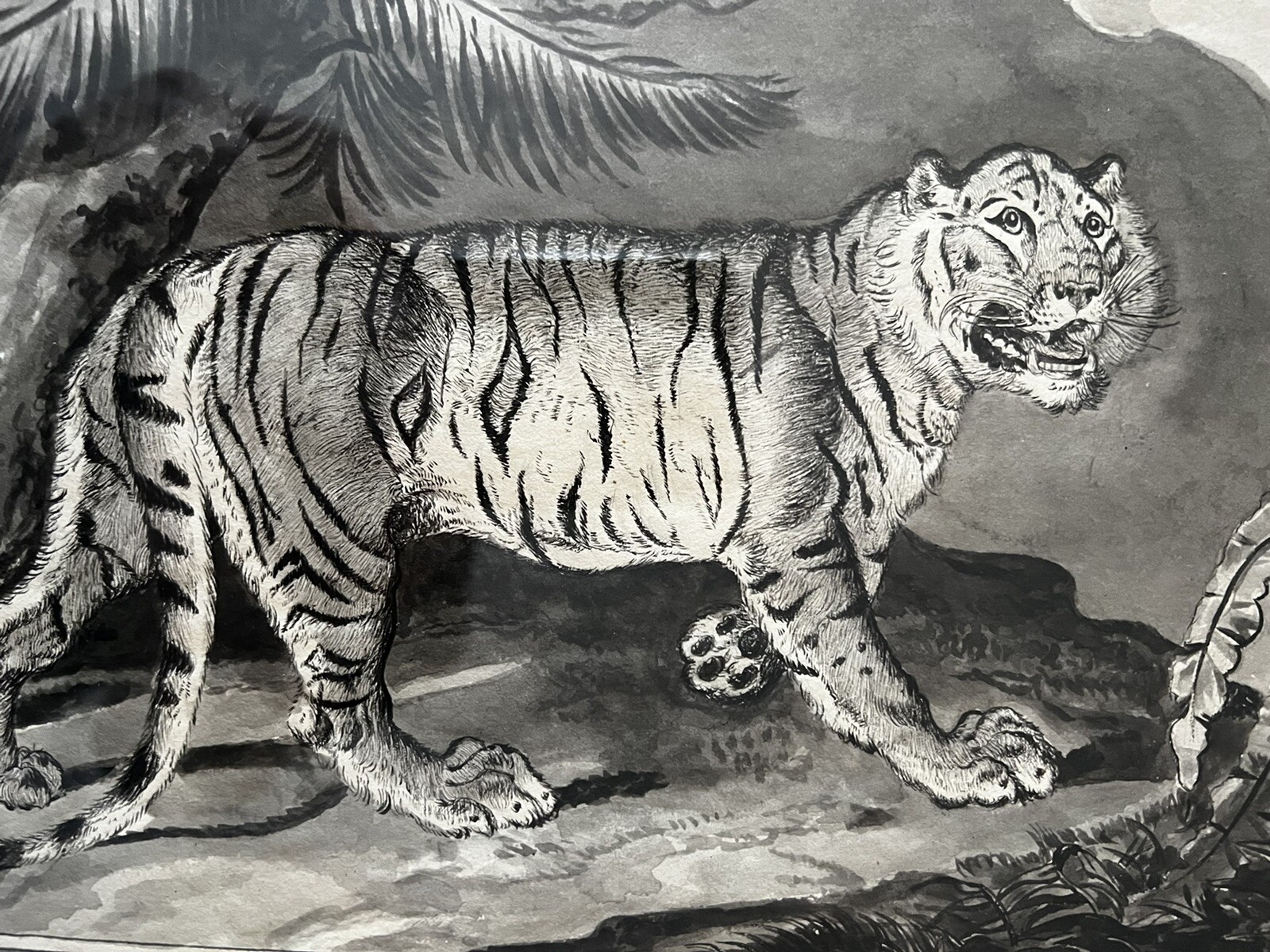 Charles Catton | The Royal Tiger (1800 - 1899) | MutualArt