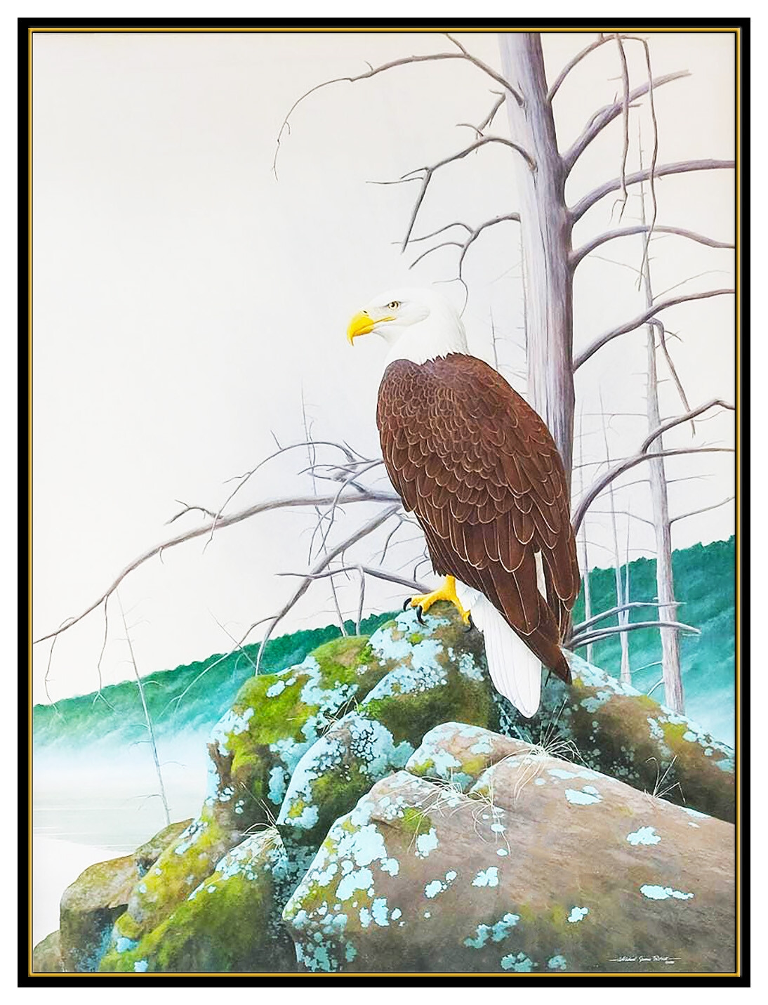 Michael Riddet | Bald Eagle Wildlife (1981) | MutualArt