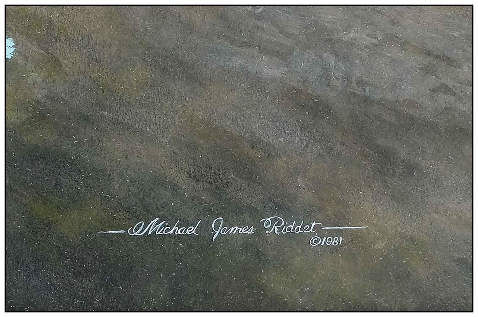 Michael Riddet | Bald Eagle Wildlife (1981) | MutualArt