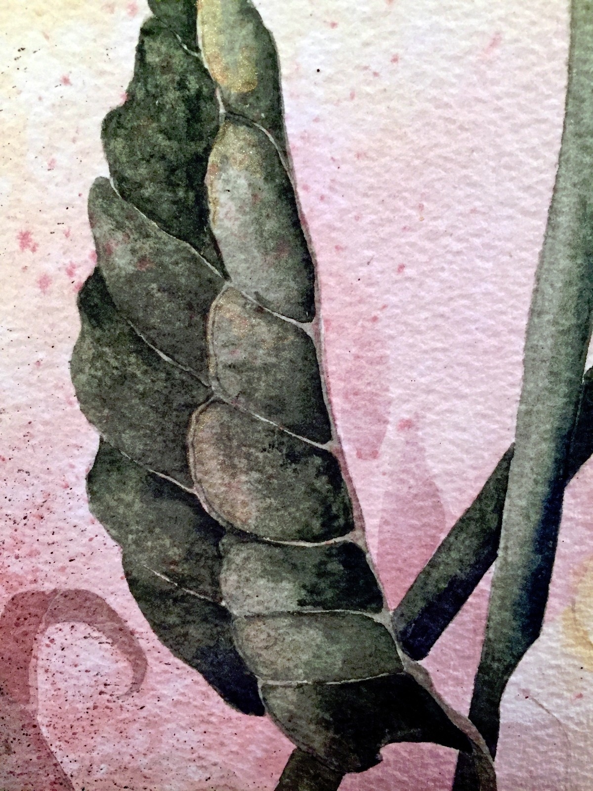 Beki Killorin | Lily (2000) | MutualArt