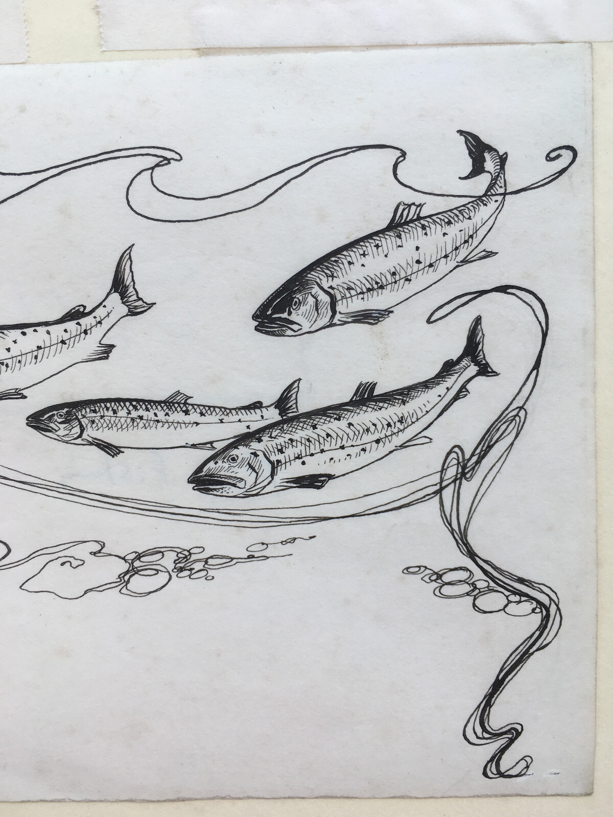 Arthur Rackham | Sea Trout (1899) | MutualArt