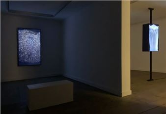 Youki Hirakawa: Axis - Anima Mundi