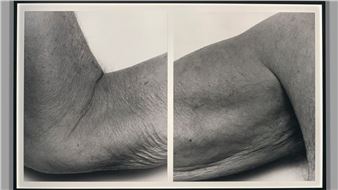 John Coplans - Yale University Art Gallery