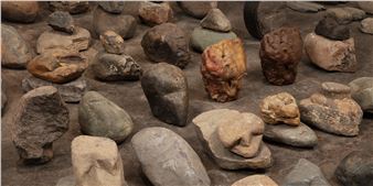 Sylvia Safdie: TERRA - National Gallery of Canada