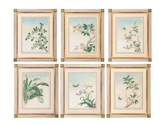 Set of Six Botanical Compositions
