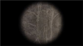 Tania Candiani: Subterrânea - Galeria Vermelho