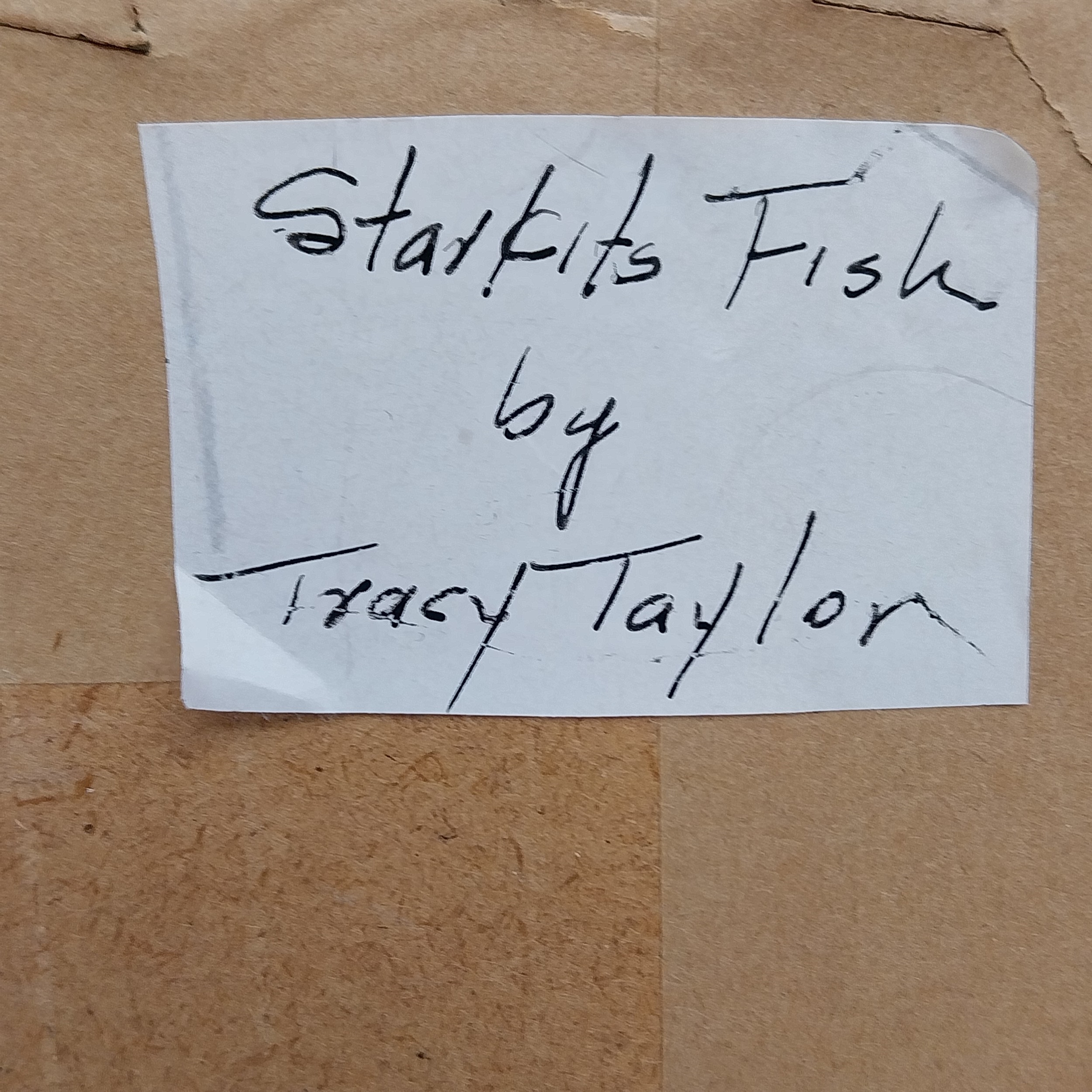 Tracy Taylor | Starkits Fish (1988) | MutualArt