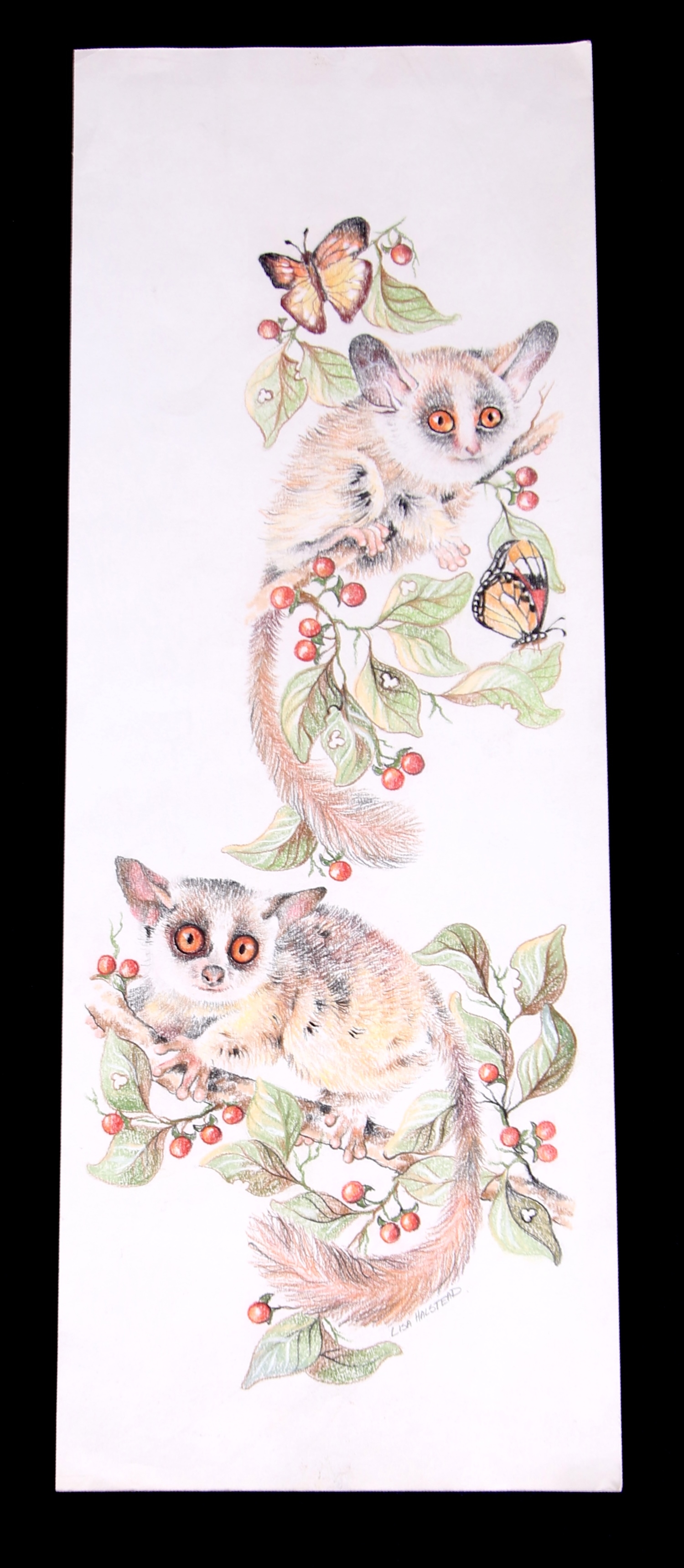 Lisa Halstead | BUSHBABIES ON BRANCHES | MutualArt