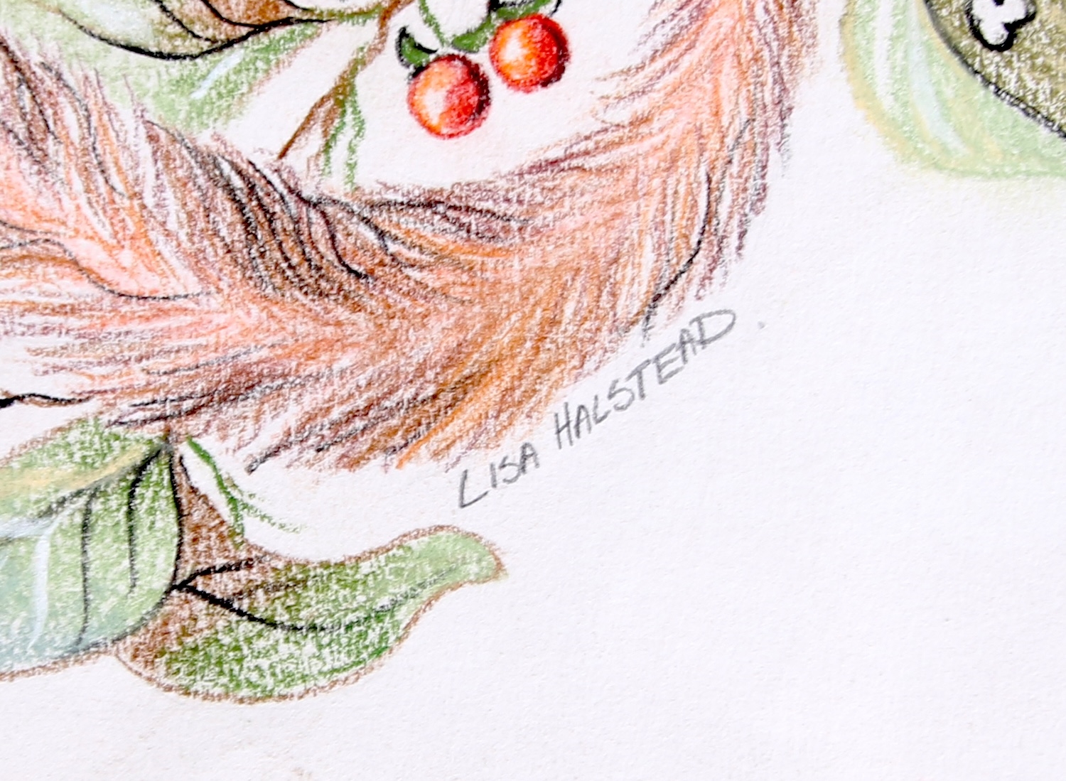 Lisa Halstead | BUSHBABIES ON BRANCHES | MutualArt