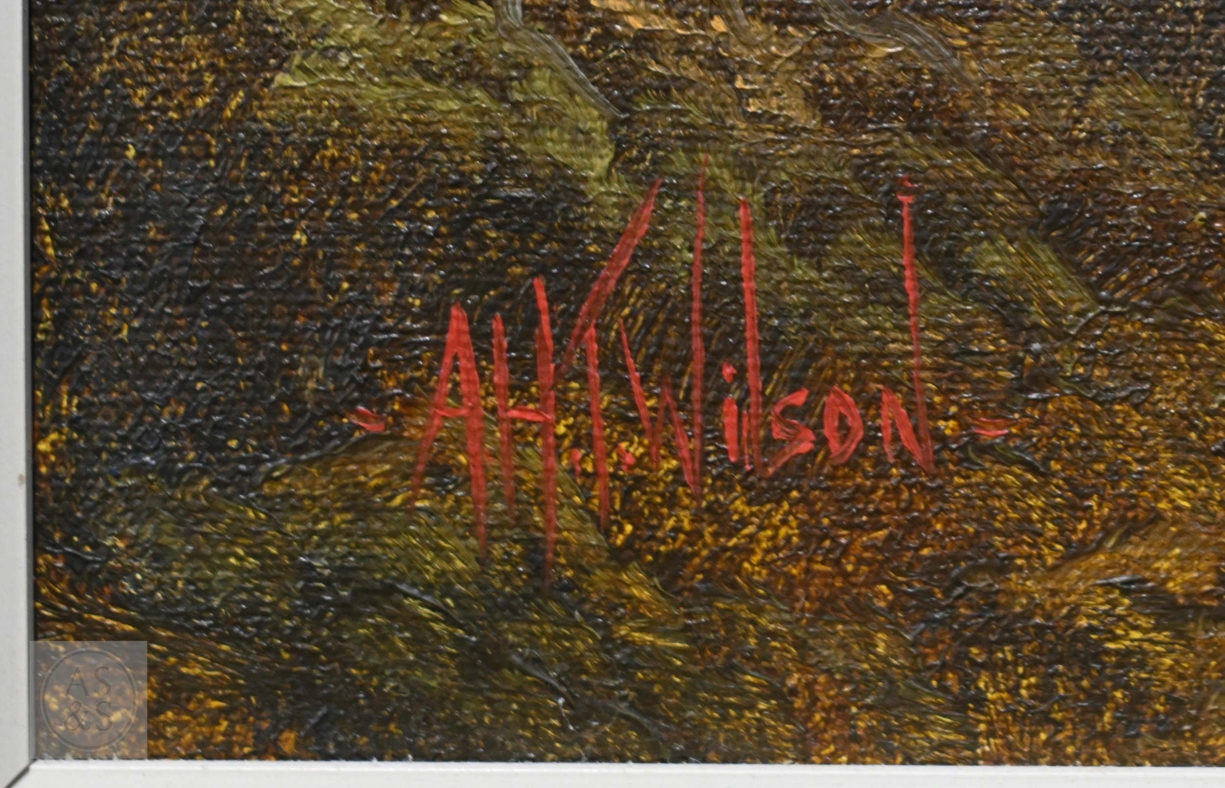 Tim Wilson | Milford Sound, New Zealand | MutualArt