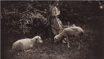 A Brief History of Photography: The Landscape - Portland Art Museum, Oregon
