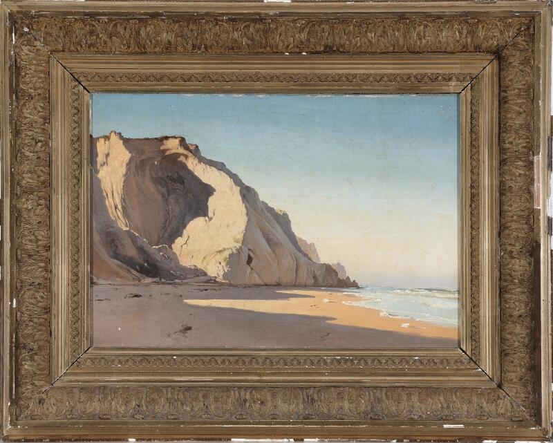 Carl Neumann | View from Bulbjerg beach | MutualArt