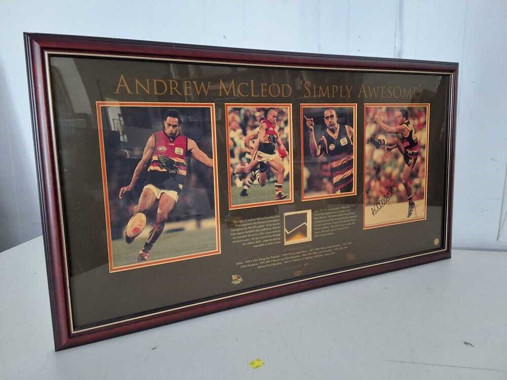 Andrew McLeod | Andrew McLeod simply awsome signed print | MutualArt