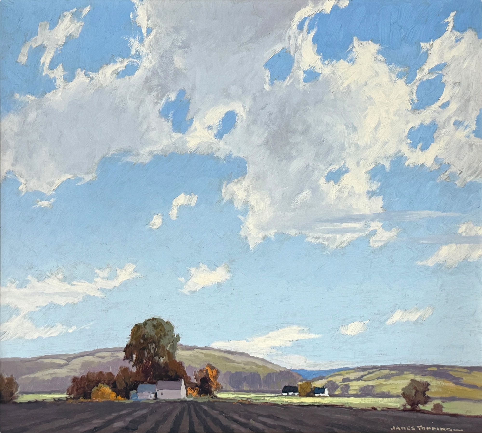 James Topping | Sky & Soil | MutualArt