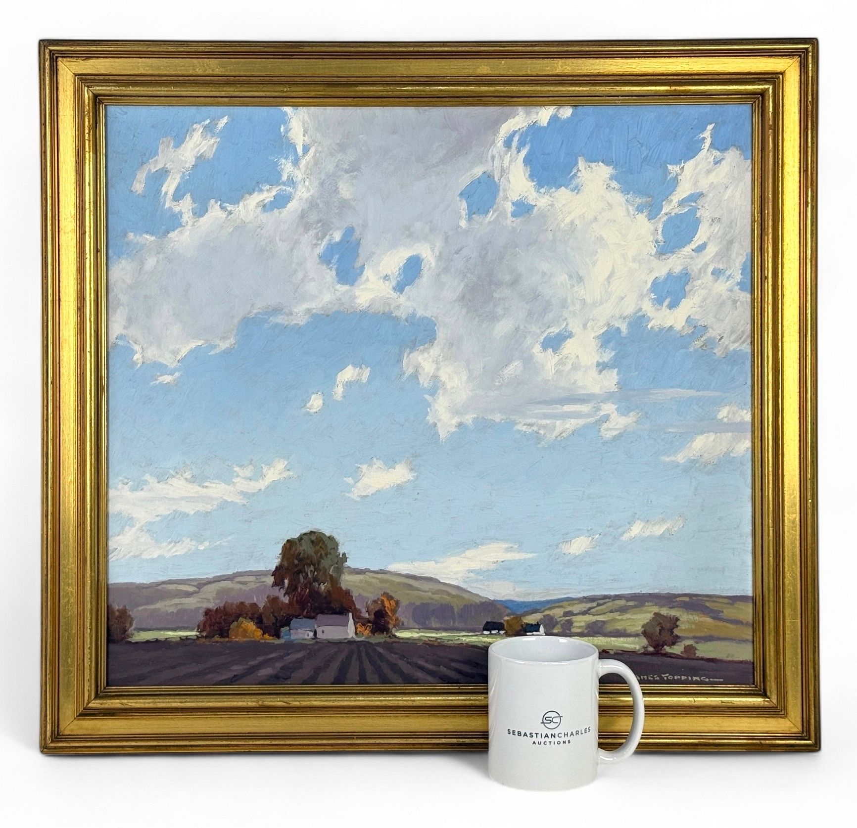 James Topping | Sky & Soil | MutualArt