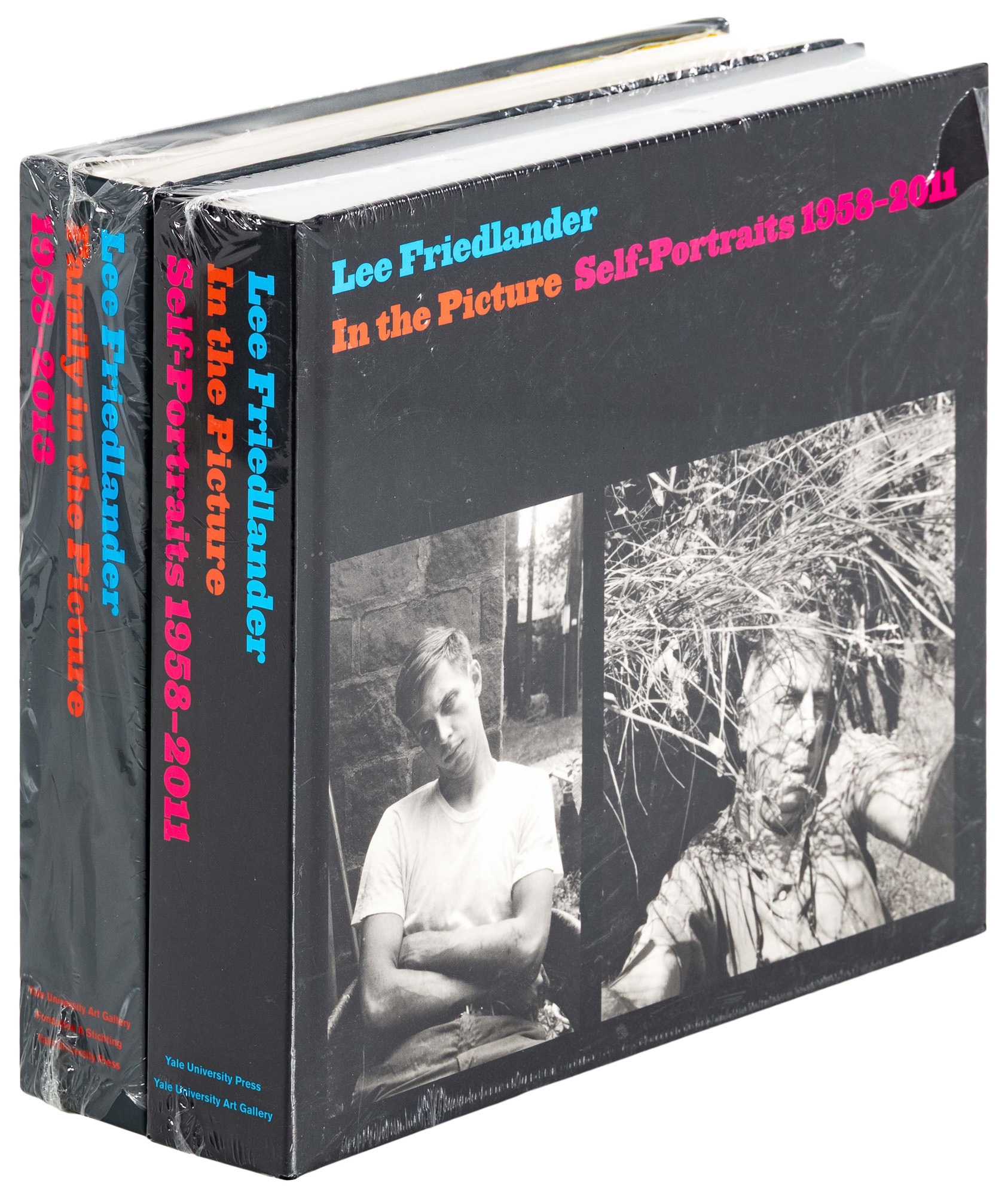 Lee Friedlander | In the Picture: Self-Portraits 1958-2011 [with ...