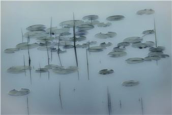 Double Take - Cove Street Arts