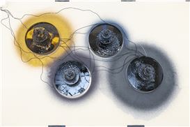 Exhibition programme 2026