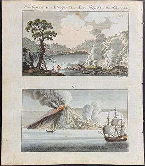 Antique Maps & Prints of Natural History, Botanicals, & More - Trillium Antique Prints & Rare Books