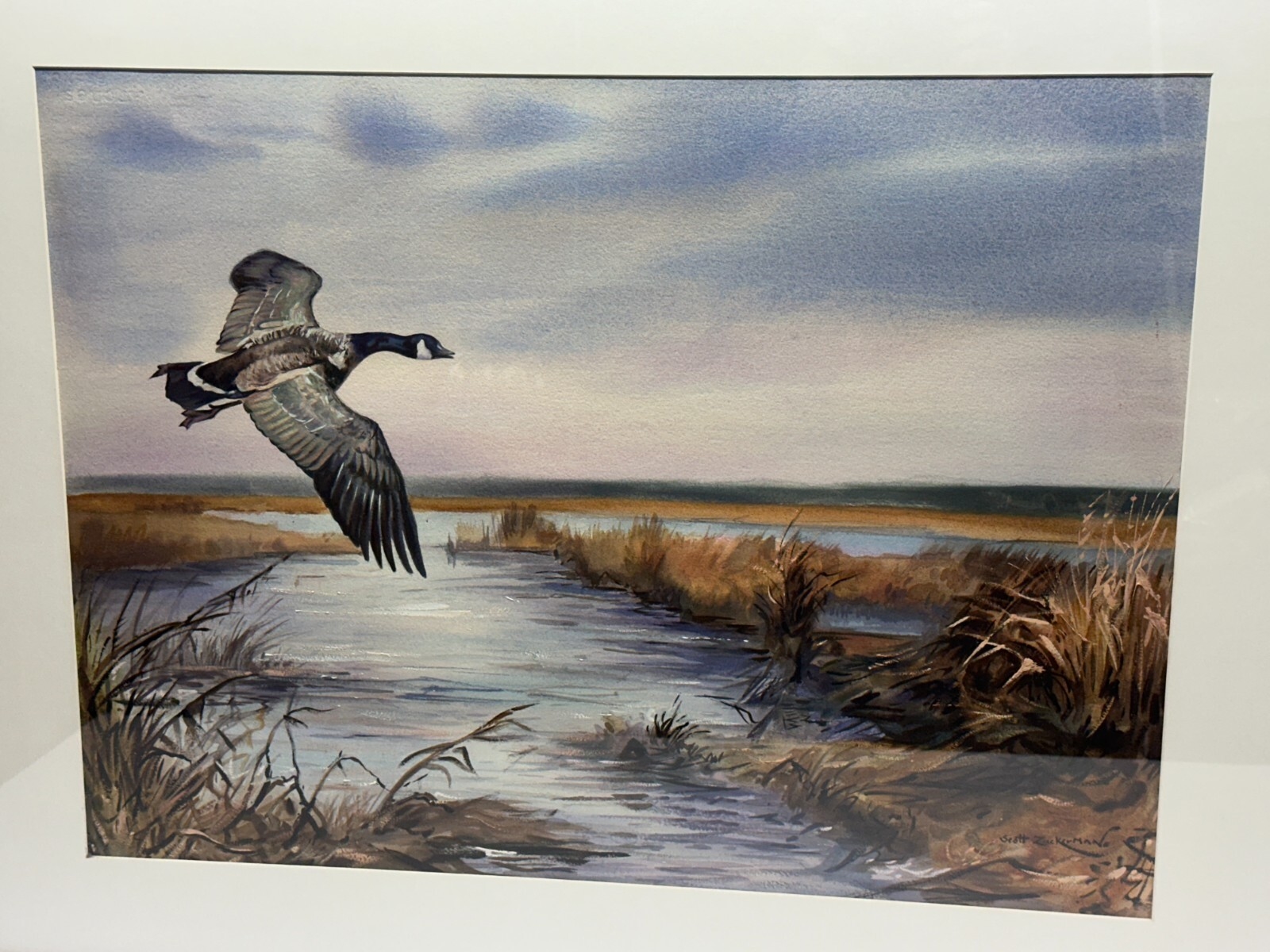 Scott Zuckerman | Goose flying over a marsh | MutualArt