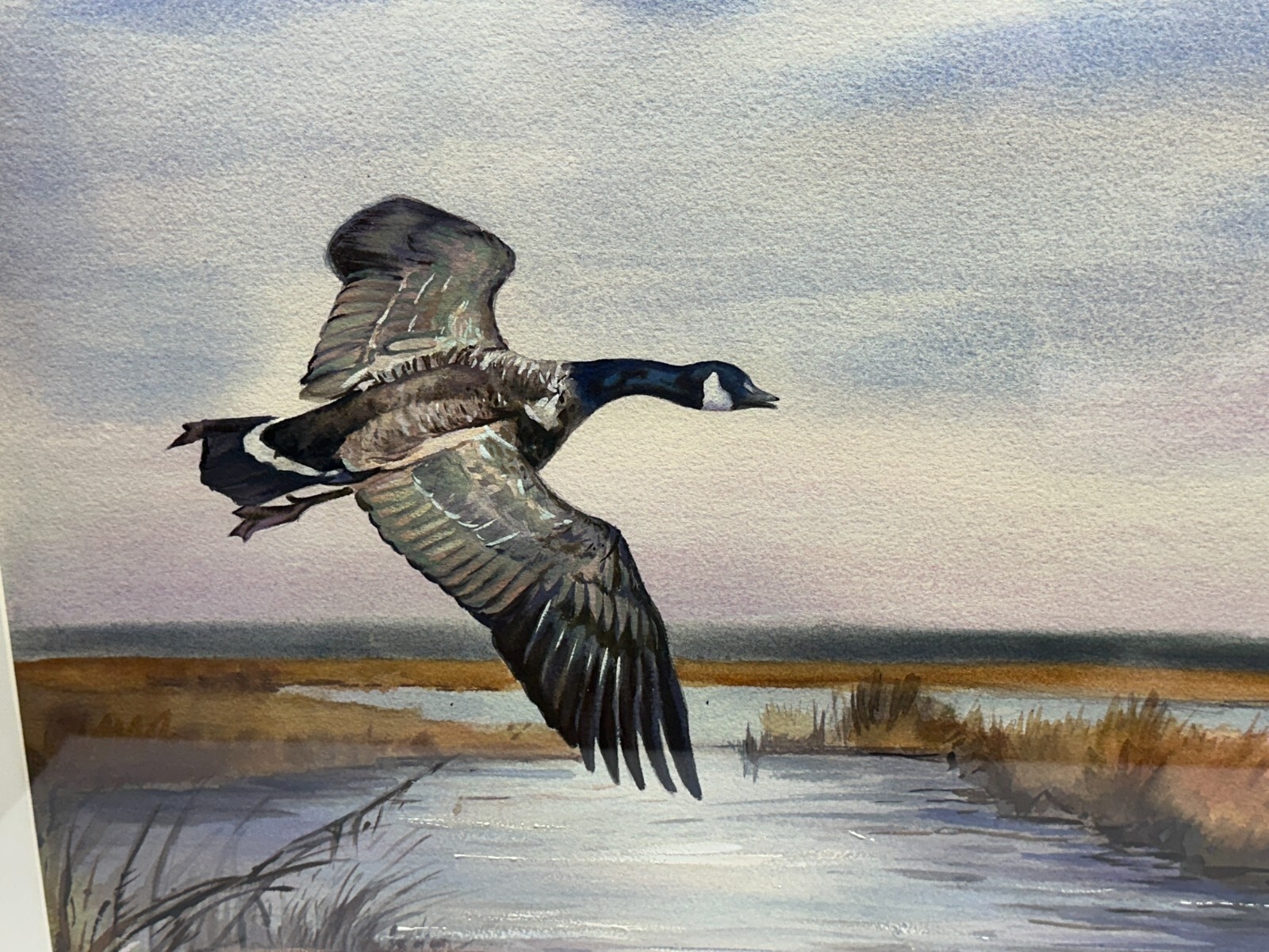 Scott Zuckerman | Goose flying over a marsh | MutualArt