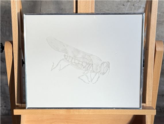 Howard Hack | Silverpoint #59: Grasshopper (Circa 1972) | MutualArt