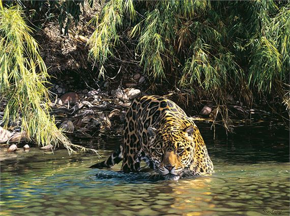 Simon Combes | Eyes of Warning | MutualArt