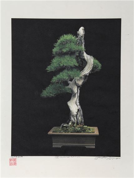 Jonathan Singer | Imperial Series II (2012) | MutualArt