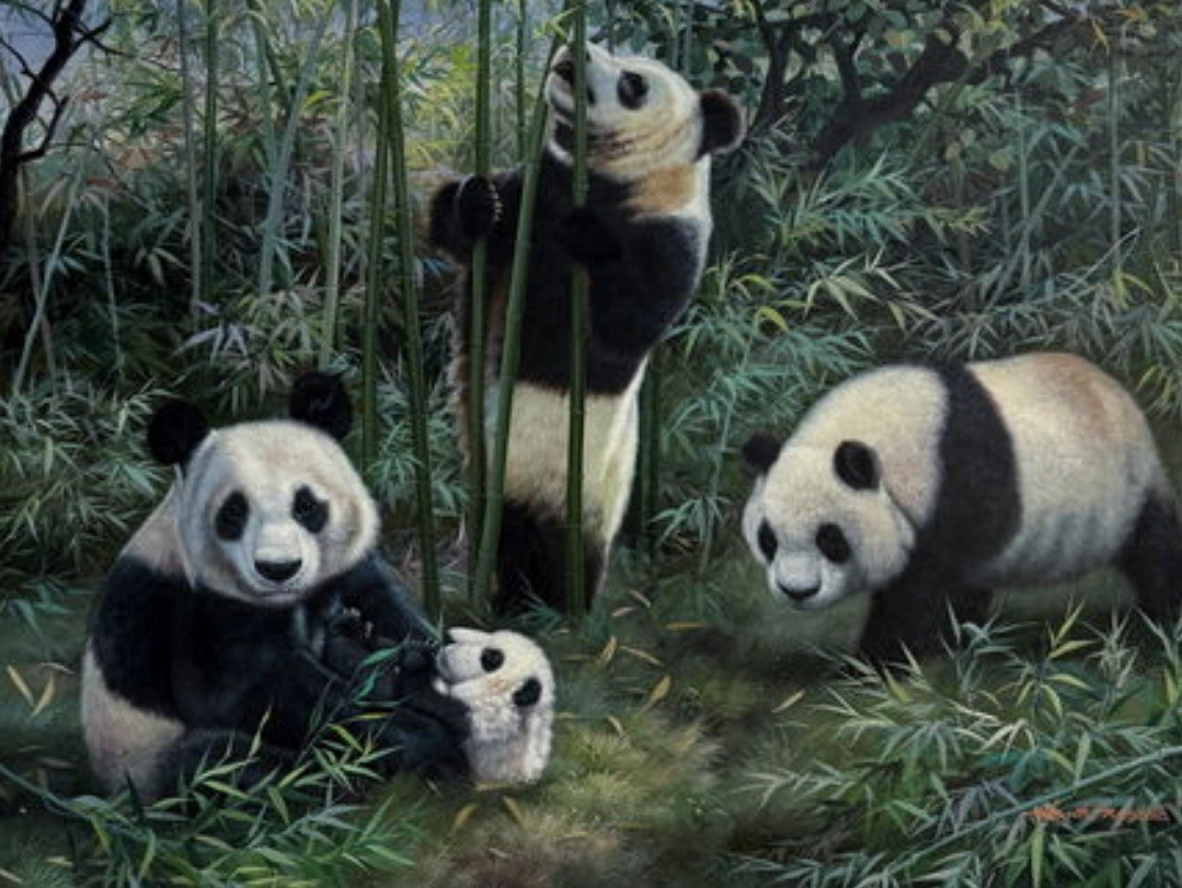 Henry Roland | Untitled, Panda Bears | MutualArt