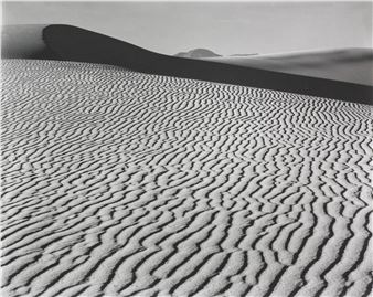 Through the Lens: American Photographs from the Carter Collection